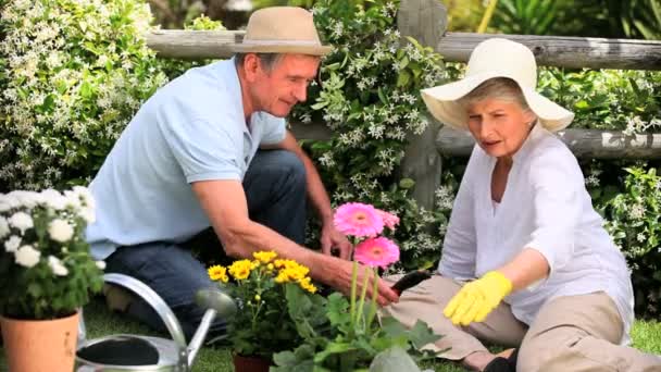 庭いじりをしている年配のカップル — ストック動画