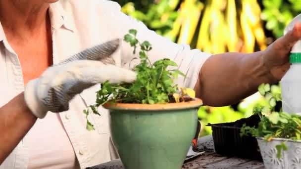 女性の笑みを浮かべて、彼女の植物に話しています。 — ストック動画