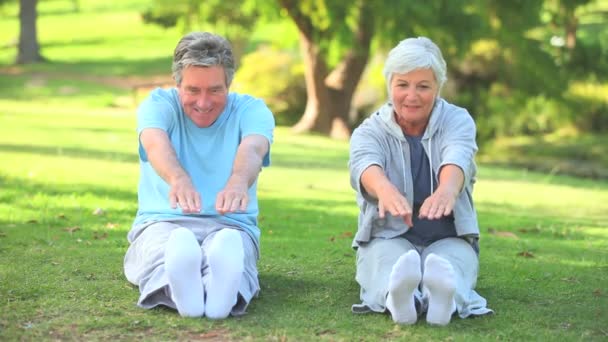 Couple d'âge mûr faisant leurs étirements — Video