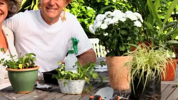 Ouder paar dragen zon-hats buitenshuis poseren voor een foto — Stockvideo