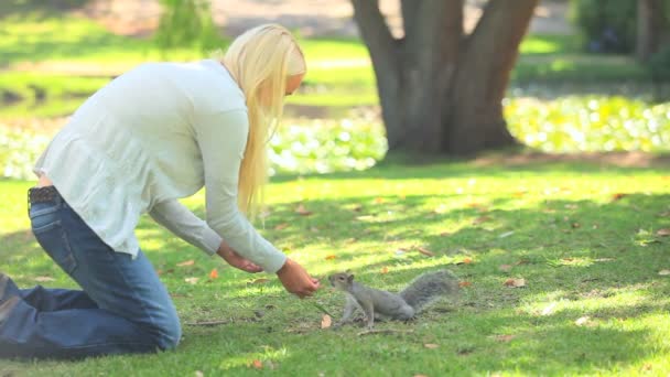 Jovem mulher alimentando um esquilo — Vídeo de Stock