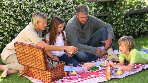 Familienpicknick auf dem Rasen — Stockvideo