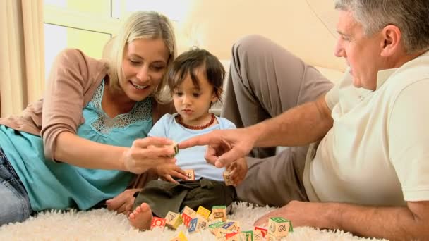 Eltern zeigen ihrem Baby verschieden farbige Blöcke auf Teppich — Stockvideo