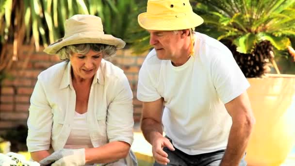 Retired couple potting plants — Stock Video