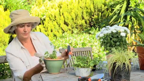 Женщина повторно горшки растений в саду — стоковое видео