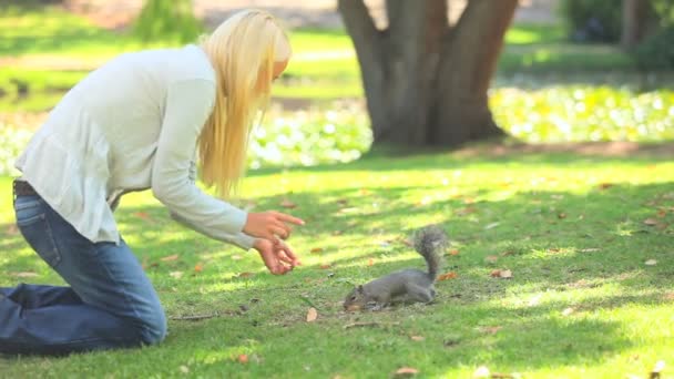 Mujer joven alimentando a una ardilla — Vídeo de stock