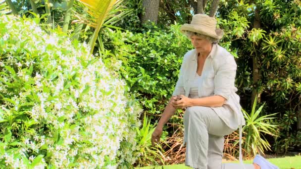 Pensionerad kvinna trädgårdsskötsel — Stockvideo