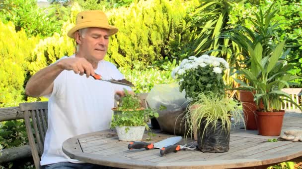 Homme mûr plantes de mise en pot — Video