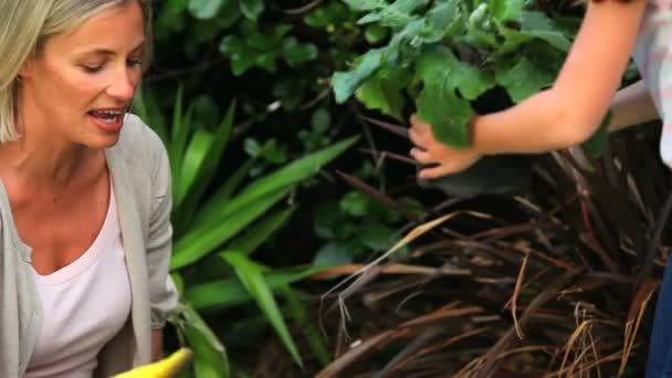 Mãe e filha jovem cheirando flores rosa — Vídeo de Stock