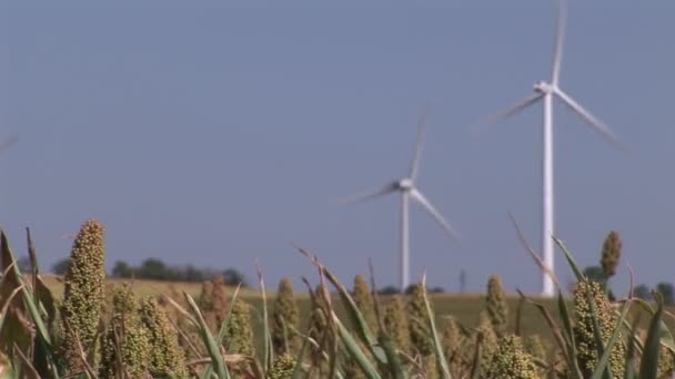 Opwekking van elektriciteit uit wind — Stockvideo