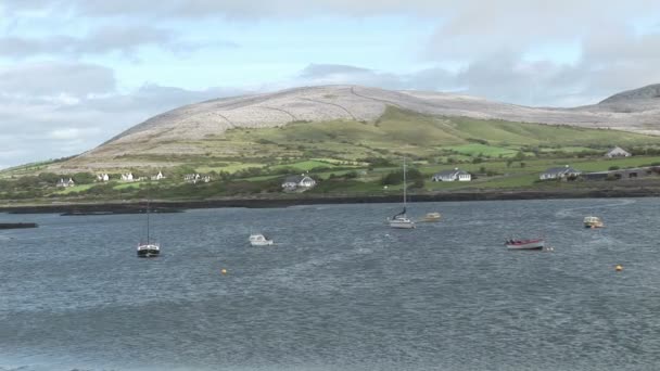 Stock footage - clare in irland — Stockvideo