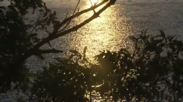 Una vista de un lago al anochecer — Vídeo de stock