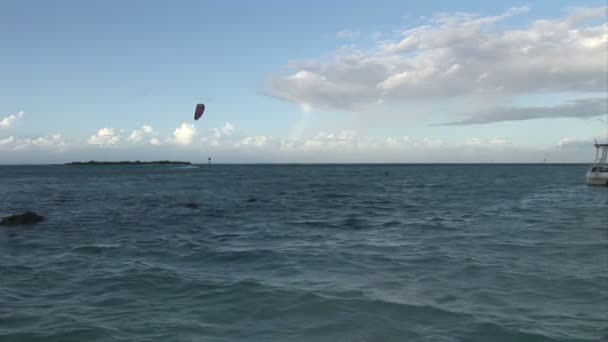 Arkivfilmer - kitesurfing — Stockvideo