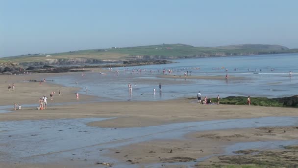 Mensen die op het strand spelen — Stockvideo