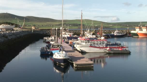 Stock Footage of Dingle in Ireland — Stock Video