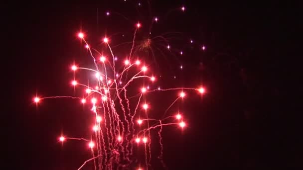 Feuerwerk explodiert — Stockvideo