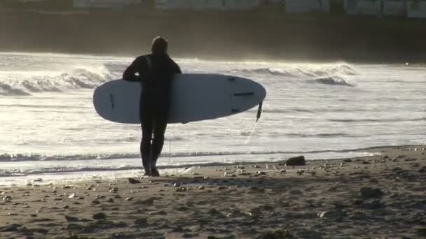 Surfing — Stock Video