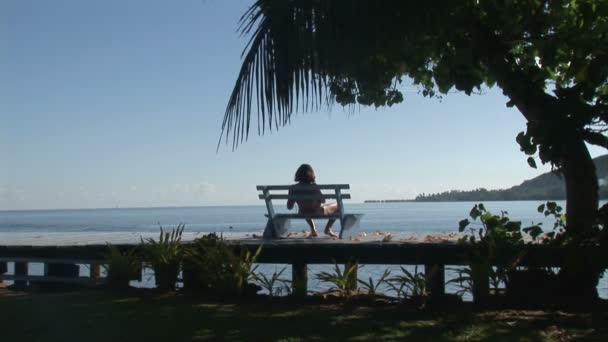 Filmación de archivo - Una isla tropical — Vídeo de stock