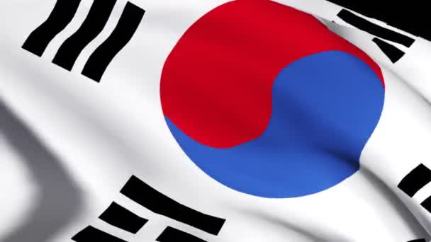 HD South Korean Flag — Wideo stockowe