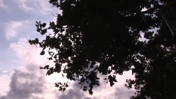 Höstens sky — Stockvideo