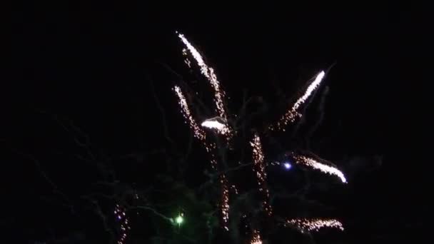 Exploding Fireworks — Stock Video