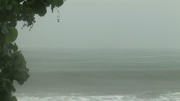 Tropikalny sztorm w tahiti — Wideo stockowe