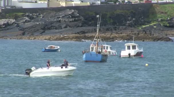 Clare, Ireland — Stock Video