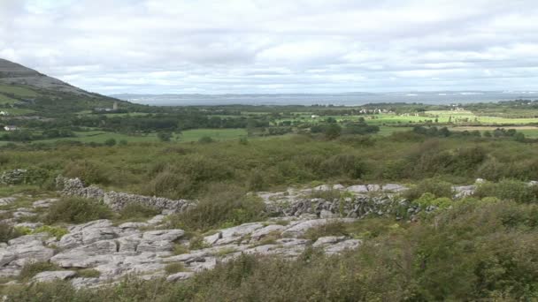 Stock Footage - Clare in Ireland 2 Corrected — Stock Video
