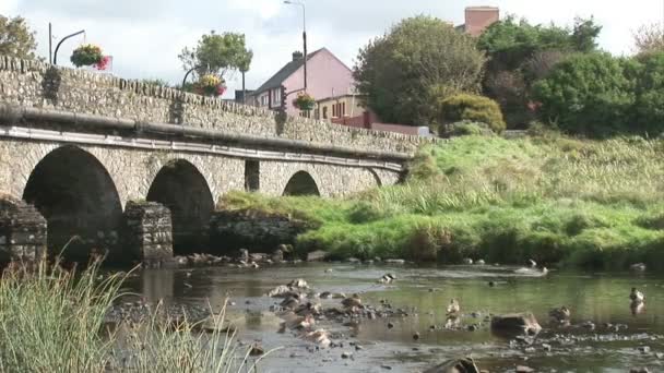 Condado de Clare en Irlanda — Vídeos de Stock