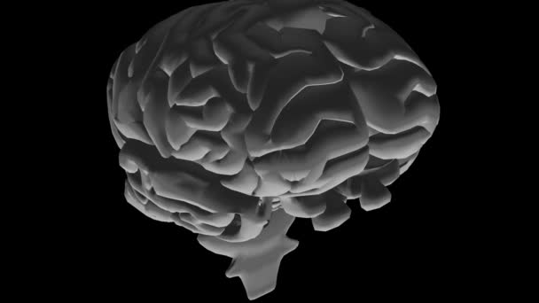 Ανθρώπινος εγκέφαλος 3d animation — Αρχείο Βίντεο