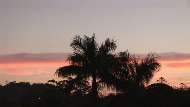 Stok görüntüleri - günbatımı zaman atlamalı — Stok video
