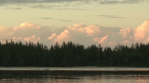 Stok görüntüleri - tropik ada — Stok video