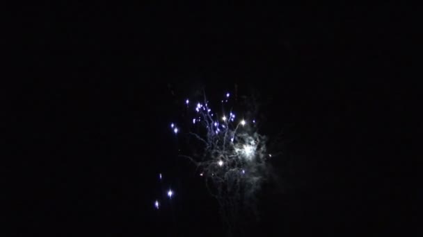 Exploding Fireworks — Stock Video