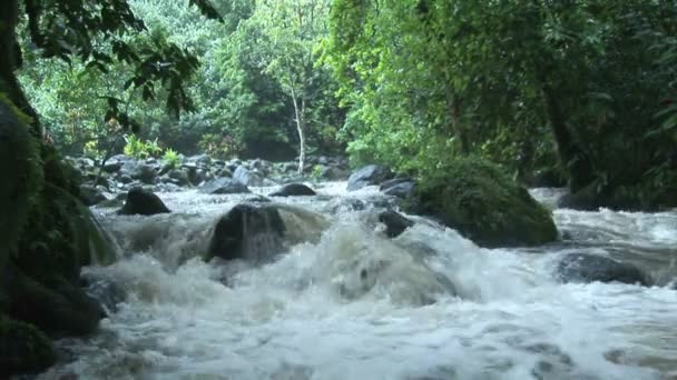 Filmación de archivo - Río — Vídeo de stock