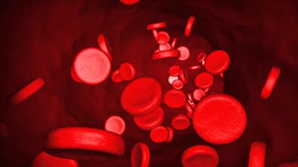 3d aniamtion di sangue che scorre attraverso le vene — Video Stock