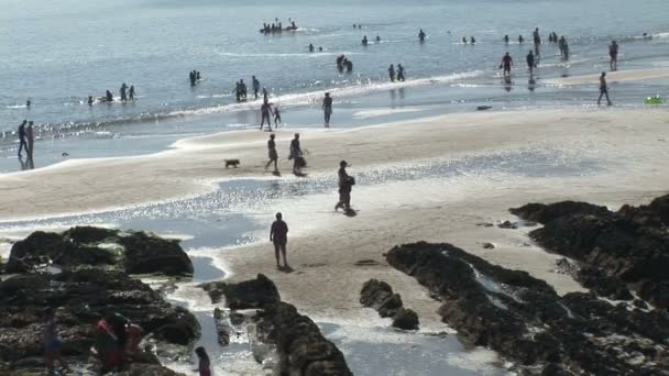 Люди, играющие на пляже — стоковое видео