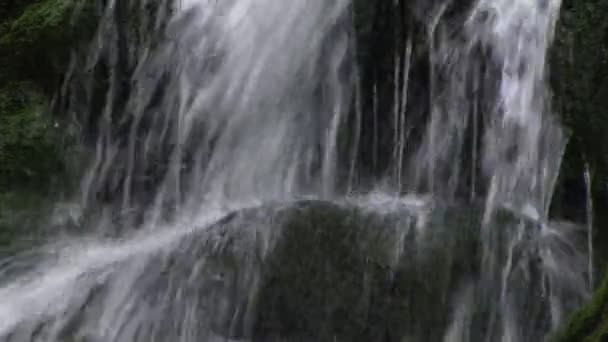 Air Terjun Mengalir — Stok Video