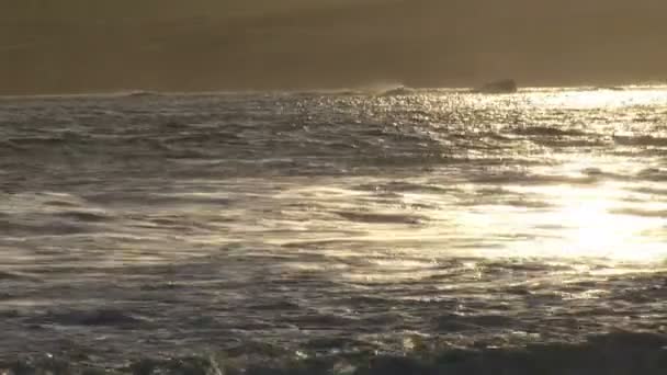 Ondas na praia — Vídeo de Stock