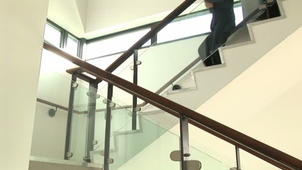 Geschäftsgespräch auf der Treppe — Stockvideo