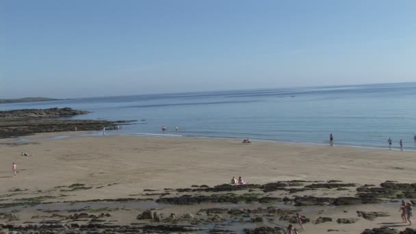 Mensen die op het strand spelen — Stockvideo