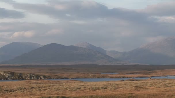 Connemara 10 juli — Stockvideo