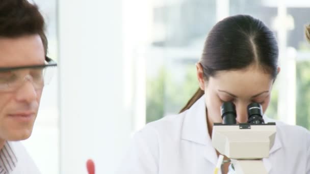 Chemist looking through a Microscope — Stock Video