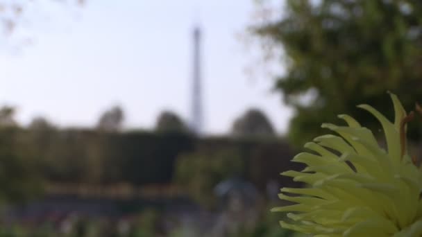 Вид на Эйфелеву башню — стоковое видео