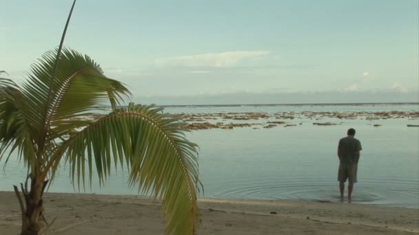 Stock footage - tropisch eiland — Stockvideo