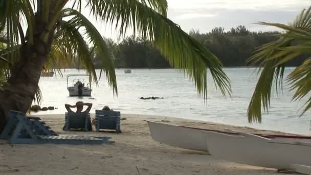 Filmagem de stock - Ilha tropical — Vídeo de Stock