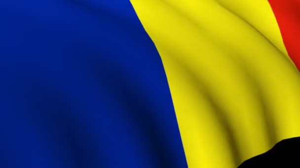 Bandera nacional rumana — Vídeos de Stock