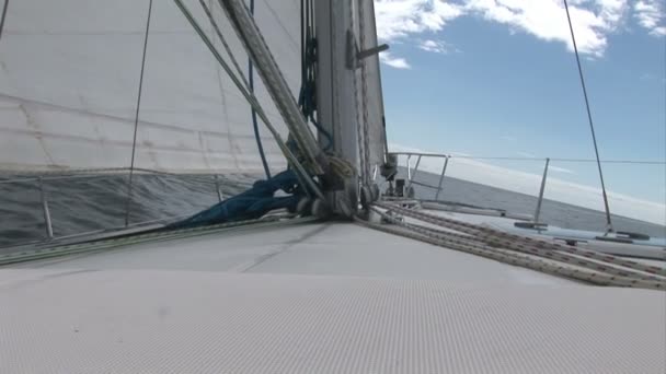 Stock Footage - Sailing — Stock Video