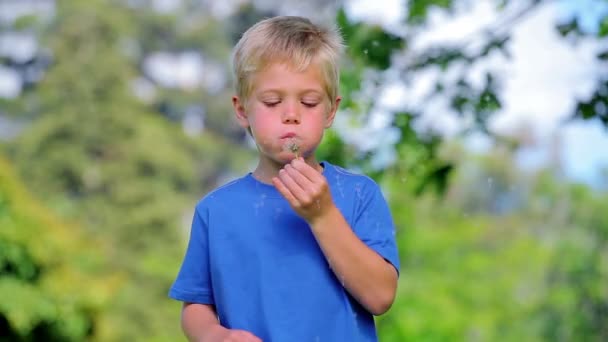 Bir karahindiba üfleme ve gülen çocuk — Stok video