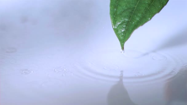 Small drizzle falling in super slow motion — Stock Video