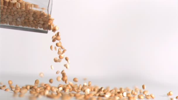 Peanuts falling down in super slow motion — Stock Video